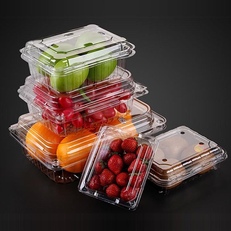 Plastic  Disposable Containers